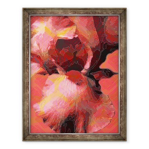 Tablou inramat - Scott J. Davis - Iris portocaliu, 60 x 80 cm