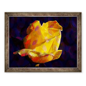Tablou inramat - Scott J. Davis - Trandafir galben, 60 x 80 cm