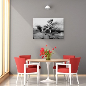 Tablou canvas - Actiune, Calaret, Actiune, Motocros, Romania, Alb-Negru, 80 x 120 cm - Img 4