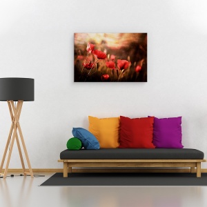 Tablou canvas - Aerul Diminetii, Maci, Vara, Floare, 60 x 90 cm - Img 2