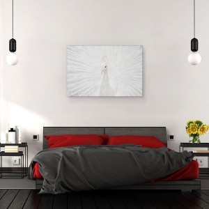 Tablou canvas - Alb Splendid, Animale, Pasari, Paun, Alb, 80 x 120 cm - Img 3