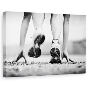 Tablou canvas - Alergator, Fuga, Alb-Negru, Pantofi, 60 x 90 cm