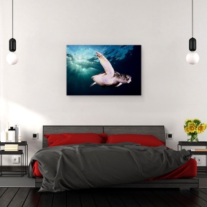 Tablou canvas - Amiaza, Sub Apa, Testoasa, Natura, Animal, Salbatic, 60 x 90 cm - Img 3
