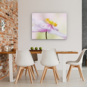 Tablou canvas - Anemona Japoneza, Roz, Floare, 60 x 80 cm - Img 4