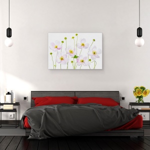 Tablou canvas - Anemone Japoneze, Japoneza, Vara, Floare, Floral, Gradina, 80 x 120 cm - Img 3