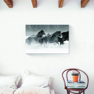 Tablou decorativ canvas cu cai sălbatici