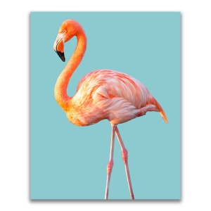 Tablou Canvas - Animal, Pasare, Flamingo, Roz, 60 x 75 cm
