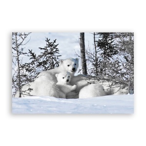 Tablou Canvas - Animal, Urs Polar, Zapada, Iarna, 80 x 120 cm