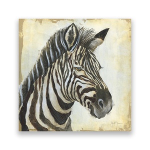 Tablou Canvas - Animal, Zebra, Africa, Pictura, 60 x 60 cm