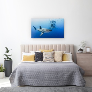 Tablou canvas - Animale In Cusca, Rechin, Peste, Sub Apa, 50 x 80 cm - Img 3