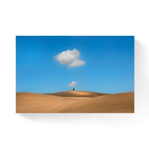 Tablou Canvas - Aratura, Camp, Nori, 80 x 120 cm