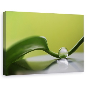 Tablou canvas - Armonie verde, Natura moarta, Frunza, Verde, Reflectie, 40 x 60 cm