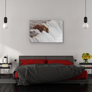 Tablou canvas - Asteptand si urmarind, Nature, Cascada, Urs, Rapid, 60 x 90 cm - Img 3