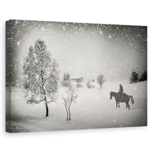 Tablou canvas - Asteptarea, Cal, Cowboy, Zapada, Iarna, Munti, 40 x 60 cm