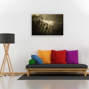 Tablou canvas - Atmosfera, Tonifiat, Monocolor, Padure, Raze De Lumina, 40 x 60 cm - Img 2