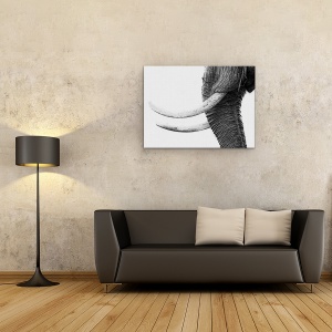 Tablou canvas - Aur Alb, Elefant, Salbatic, Natura, Animale, Africa, 75 x 100 cm - Img 2
