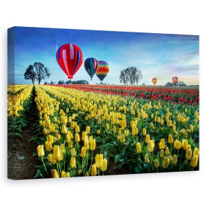 Tablou canvas - Baloane Cu Aer Cald Peste Campul Cu Lalele, Floare, 60 x 90 cm