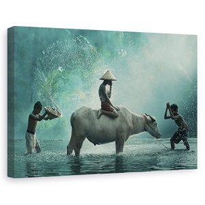 Tablou canvas - Bivol de apa, Animal, Palarie, Joc, Distractie, 60 x 90 cm