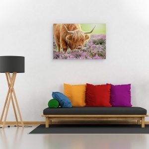 Tablou canvas - Bivol in Campie de Flori, Vaca, Bovine, Taur, Animal, Claxoane, Rural, 60 x 90 cm - Img 2