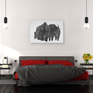 Tablou canvas - Bizonii Europeni, Alb-Negru, Animal, 40 x 60 cm - Img 3