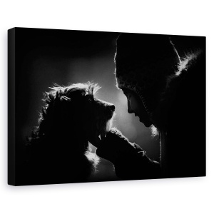 Tablou canvas - Bond, Silueta, Lumina De Fundal, Fata, Palarie, 40 x 60 cm