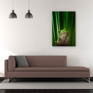 Tablou Canvas - Broasca Verde, Macro, Natura, Animale, Broasca, Iarba, 80 x 120 cm - Img 2