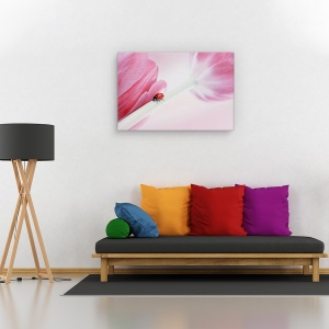 Tablou canvas - Buburuza, Flori, Roz, Lalea, 60 x 90 cm - Img 2