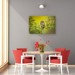Tablou canvas - Bufnita, Ramura, Verde, Ochi, Distractie, 80 x 120 cm - Img 4