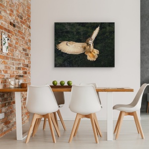 Tablou canvas - Bufnita, Zapada, Ontario, Iarna, 50 x 70 cm - Img 4