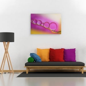 Tablou canvas - Bujori Dragalasi, Macro, Abstract, Apa, Ulei, Picatura, 60 x 90 cm - Img 2