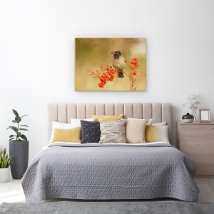 Tablou canvas - Bulbul Cu Nandina, Pasare, Cioc, Mancare, Alimente, Fructe De Padure, 50 x 70 cm - Img 3