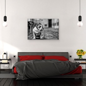 Tablou canvas - Caine, Alb-Negru, Pet, Animal, 60 x 90 cm - Img 3