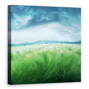 Tablou canvas - Camp de Orz, Peisaj, Vant, Furtuna, Nor, Cer, Camp, 60 x 60 cm