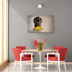 Tablou canvas - Cand Viata Iti Da Lamai, Caini, Galben, Animale, 60 x 90 cm - Img 4