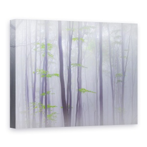 Tablou canvas - Cetos, Peisaj, Padure, Verde, 50 x 70 cm