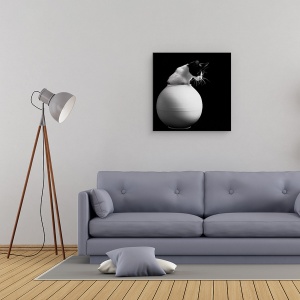 Tablou canvas - Chanel, Pisicuta, Vaza, Franta, Paris, 60 x 60 cm - Img 2