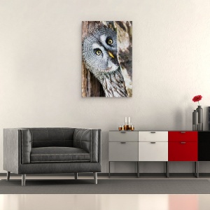 Tablou canvas - Cine E Acolo?, Ascunzatoare, Curios, Surprins, Ochi, Portbagaj, 40 x 60 cm - Img 2