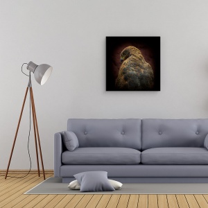 Tablou Canvas - Cineva Sa Se Uite La Mine, Ochi, Pasare, Savana Hawk, 60 x 60 cm - Img 2