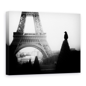 Tablou Canvas - Cioara, Multime, Franta, Peisaj Urban, La Paris, Alb-Negru, 50 x 70 cm
