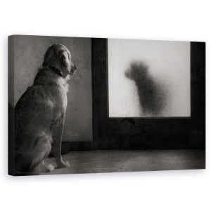 Tablou canvas - Clotilde Si Pancha, Caine, Pet, Reflectie, Alb-Negru, Oglinda, 50 x 80 cm