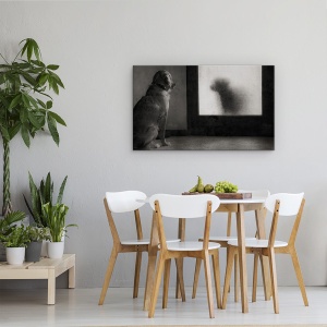 Tablou canvas - Clotilde Si Pancha, Caine, Pet, Reflectie, Alb-Negru, Oglinda, 50 x 80 cm - Img 4