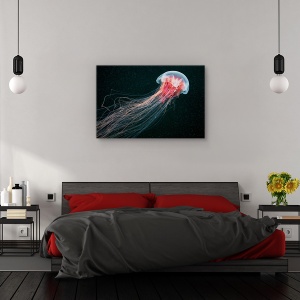 Tablou canvas - Coada lunga, Animal, Meduza, 60 x 90 cm - Img 3