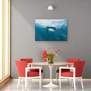 Tablou canvas - Comuniune, Sub Apa, Salbatic, Africa De Sud, Scalar, 40 x 60 cm - Img 4