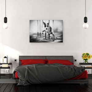 Tablou canvas - Concentrare, Agilitate, Caine, Actiune, Alb-Negru, Animal, 60 x 90 cm - Img 3