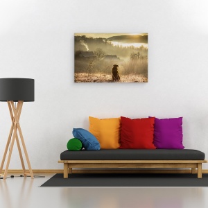 Tablou canvas - Conexiune Buna, Rasarit De Soare, Aur, Caine, Calm, Pet, 40 x 60 cm - Img 2