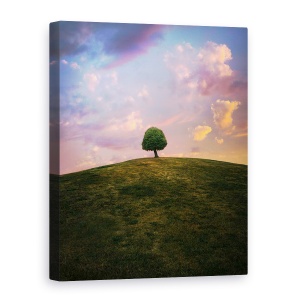 Tablou canvas - Copac Pe Deal In Timpul Apusului, Izolare, 50 x 70 cm