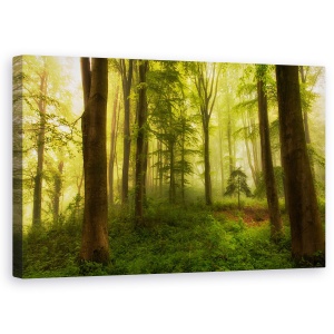 Tablou canvas - Copacul Mic, Padure, Lemn, Verde, 50 x 80 cm
