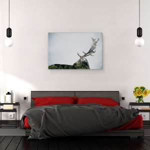 Tablou canvas - Corn De Cerb, Padure, Peisaj, 80 x 120 cm - Img 3