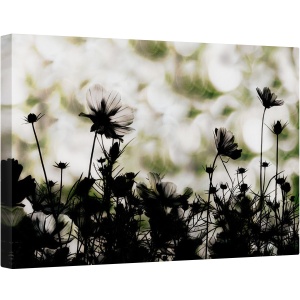 Tablou canvas - Corul de Toamna, Tonifiat, Flori, Japonia, Lunca, Gradina, Toamna, 60 x 90 cm