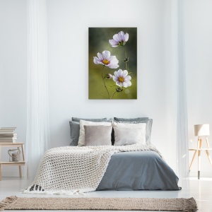 Tablou canvas - Cosmos, Natura Moarta, Cosmos, Floare, Flori, Muguri, 80 x 120 cm - Img 3